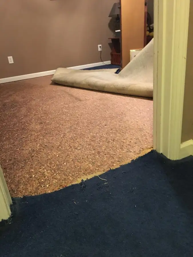 Carpet pad removal revealing water damage during Drying & Dehumidification in Swanton
