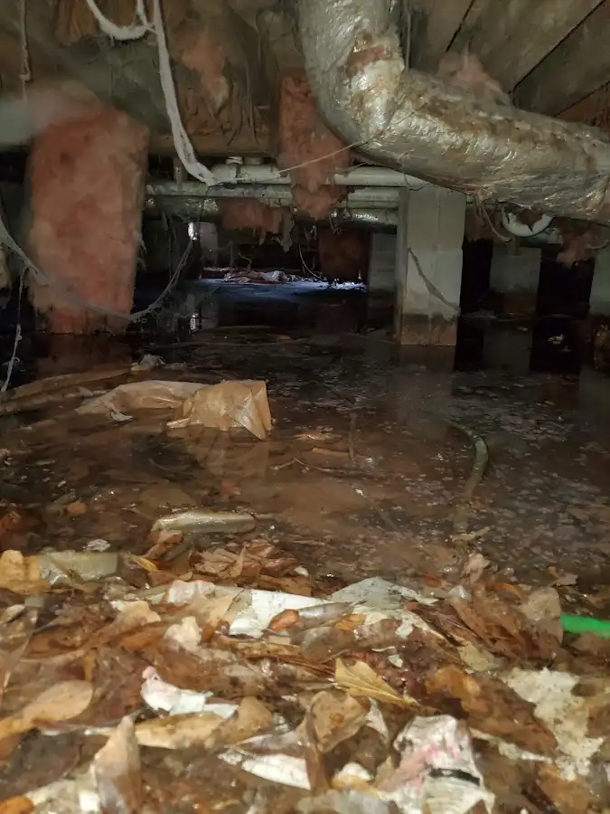 Crawl space flood assessment for Leak Detection & Repair in Swanton